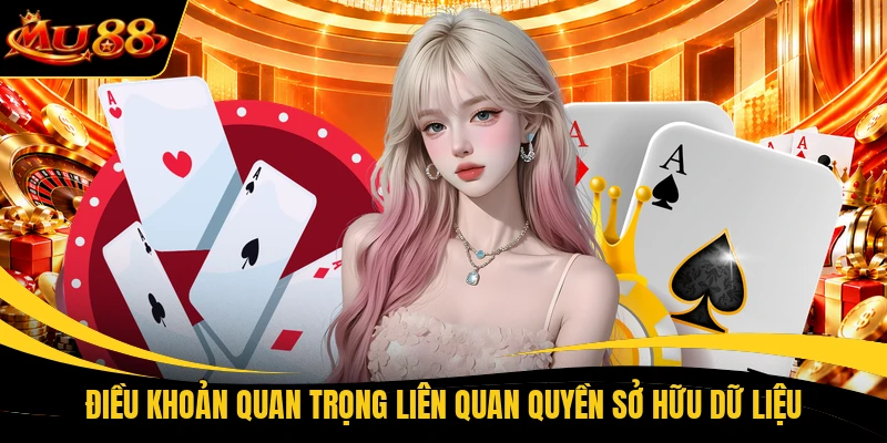 Điều khoản quan trọng liên quan quyền sở hữu dữ liệu